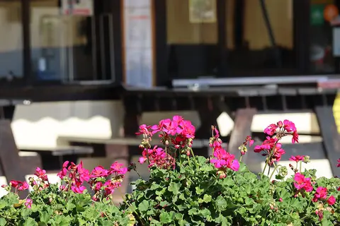 Camping du Clos de la George