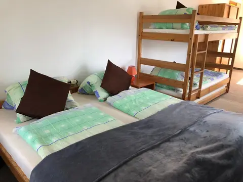 Zrcadlová koza