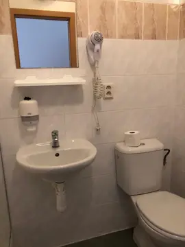 Zrcadlová koza