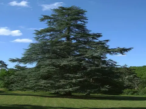 Château de Lacomté Camping