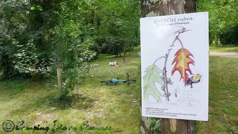 Isis en Cévennes