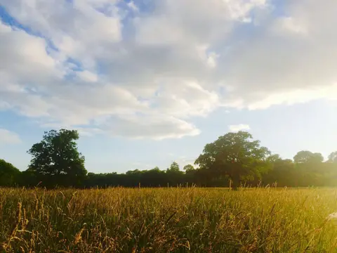 Hook Farm Campsite