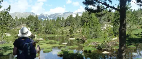 Camping Del Bosc