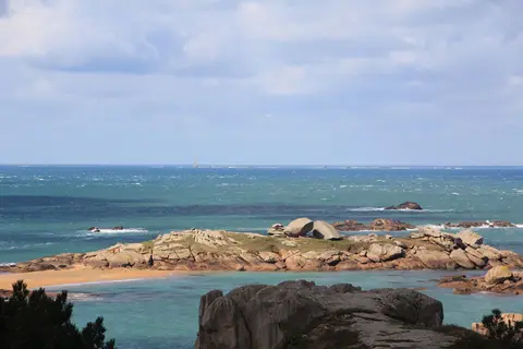 Les Palmiers