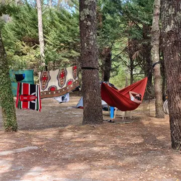 Le Gaoucher