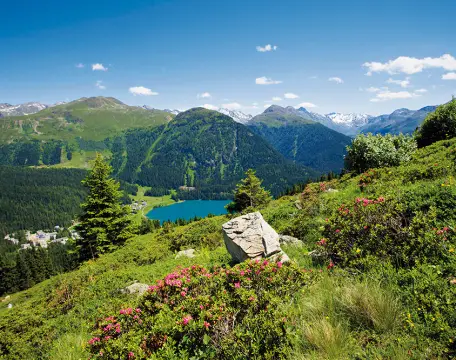 Camping du Fort de la Rade