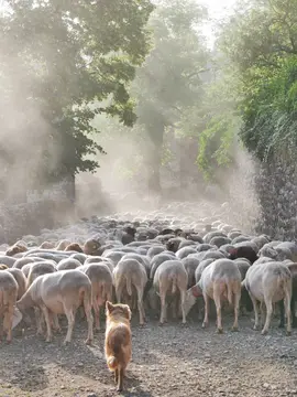 La Couvertoirade Parking