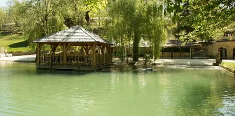 Le moulin de Surier