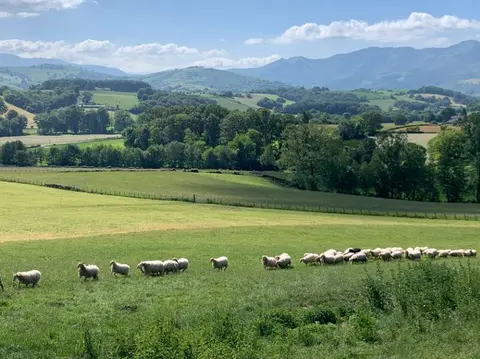 Ferme Etchemendigaraya