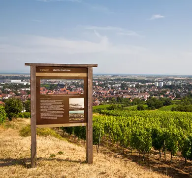 Aire de Stationement Molsheim (Domaine Kaes)