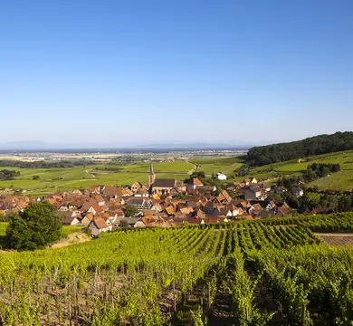 Aire de Stationement Molsheim (Domaine Kaes)