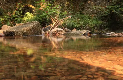 Moulin de chaules