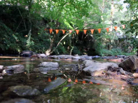 Moulin de chaules