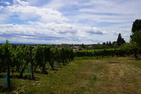 Aire de Stationement Barr (Domain Bachert)