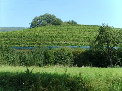 Ostertag-Hurlimann