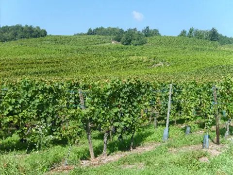 Ostertag-Hurlimann