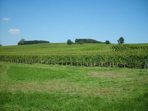 Ostertag-Hurlimann