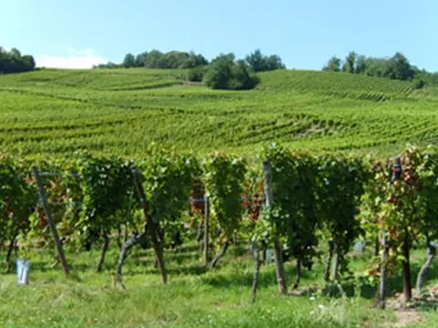 Ostertag-Hurlimann