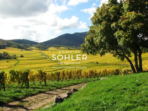 Aire de Services (Sohler Philippe)