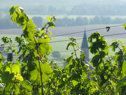 Aire de Services (Sohler Philippe)
