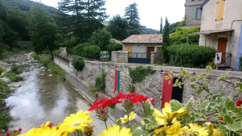 Le gap des tortelles