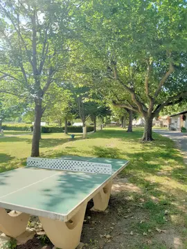 Le gap des tortelles