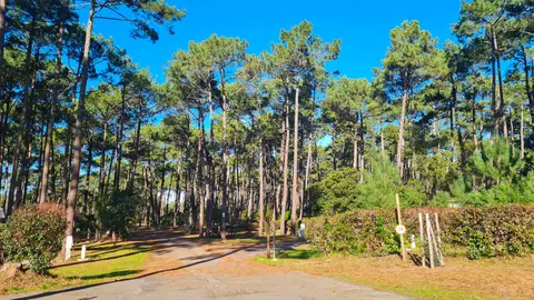 Camping municipal du Cap de L'Homy