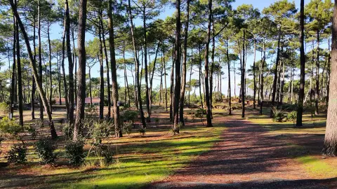Camping municipal du Cap de L'Homy
