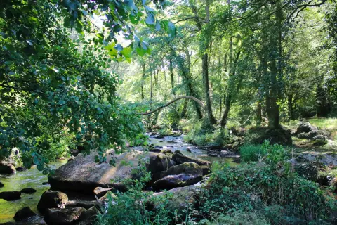 Aire naturelle de camping de l’Ardour