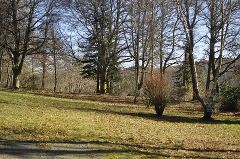 Camping du Puy de Faux