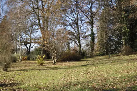 Camping du Puy de Faux