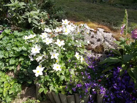 Camping Fleuri