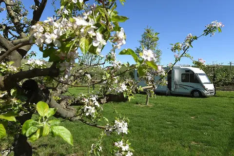 Agricamping La Rosa nel Borgo