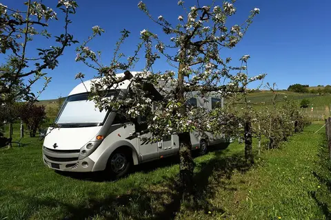 Agricamping La Rosa nel Borgo