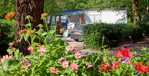 Camping des 3 Lacs