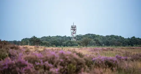 Kampeerautoplaatsen Parking Kalmthoutse Heide Nord