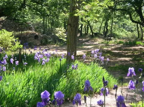 Aire naturelle Les Joncquiers