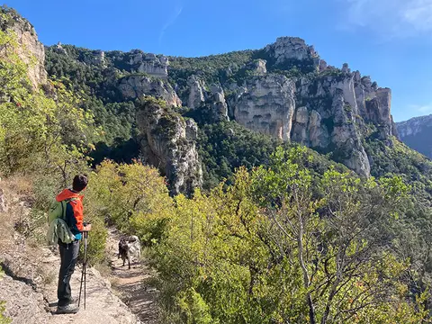 Aire naturelle de camping de Charbonnières