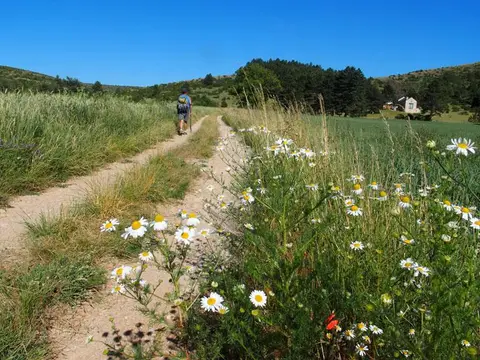 Aire naturelle de camping de Charbonnières