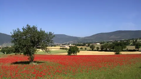 Tenuta Squaneto