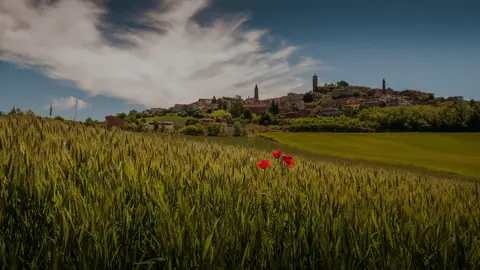 Tenuta Squaneto