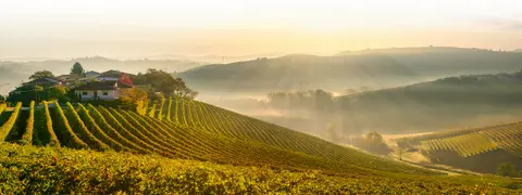 Tenuta Squaneto