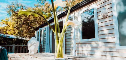 Camping Paradis des Pins