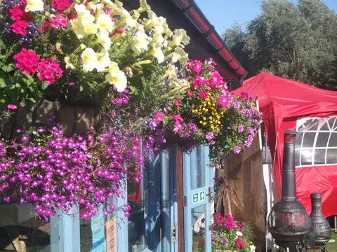 Swanage Bijou Camping at Kirkwood Park