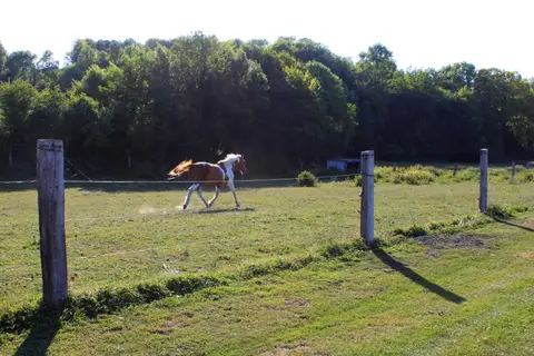 Camping de la Vallée de l'Avre