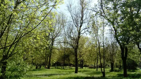 Le village des toiles