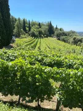 Domaine des Hautes Collines de la Côte d'Azur
