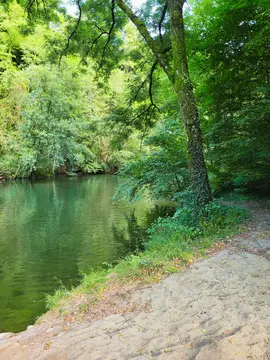 Camping le Bois Flottant