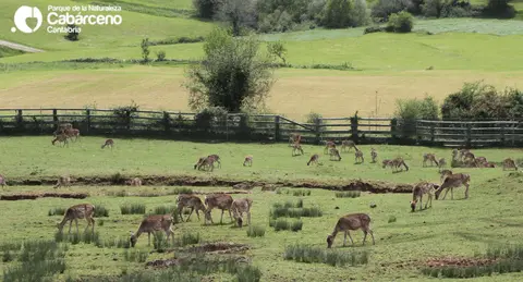 Área de autocaravanas de Cabárceno