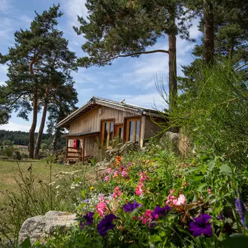 Ferme Equestre De Vovady
